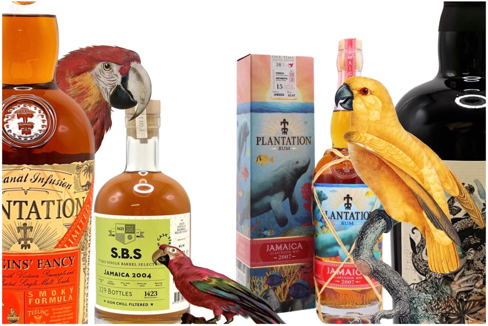 トロワリヴィエール1997 マルティニークラム 【公式通販】