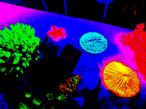 マメミニライト【マメデザイン】10W全10色（淡水、海水、水草