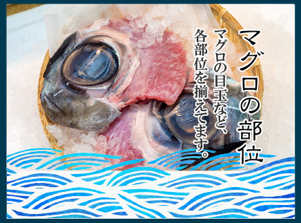 エビshop』【夜光貝大中新セット2】沖縄県産夜光貝 エビshop』【夜光貝