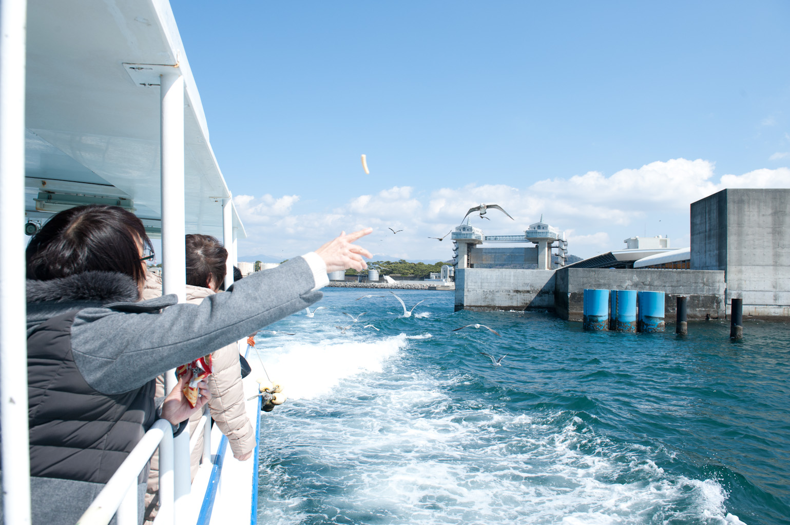 千葉手賀沼の自然を描く,日下賢二「風景」8号油彩,野鳥の群れ 千葉手賀