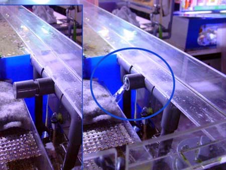 日海センター かんたん槽NK-90 世界のとれたて海水魚(通信販売)の日海