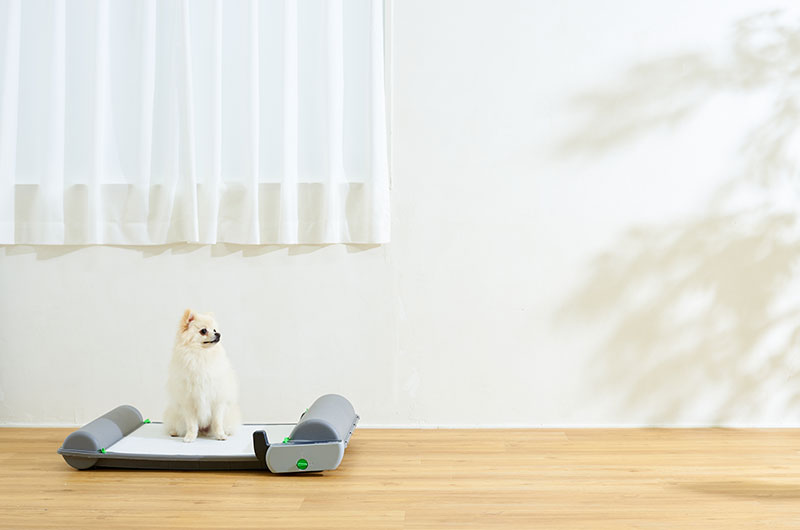 自動犬トイレ『ブリリアントパットSMART』は掃除が楽なだけじゃない