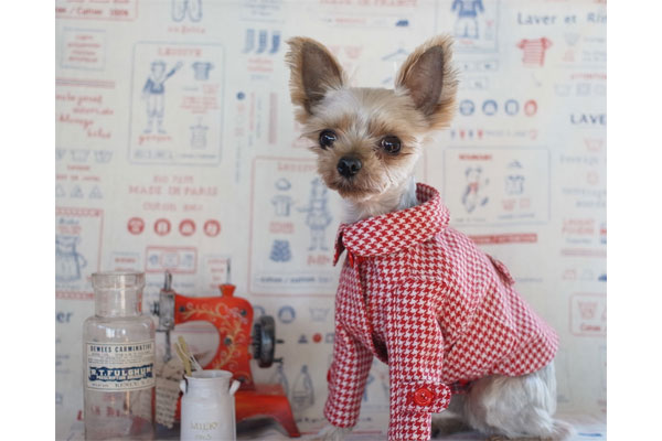 アトリエgg コート 0号 GG MADE IN TOKYO.』『GG+KIITI』『GG DENIM