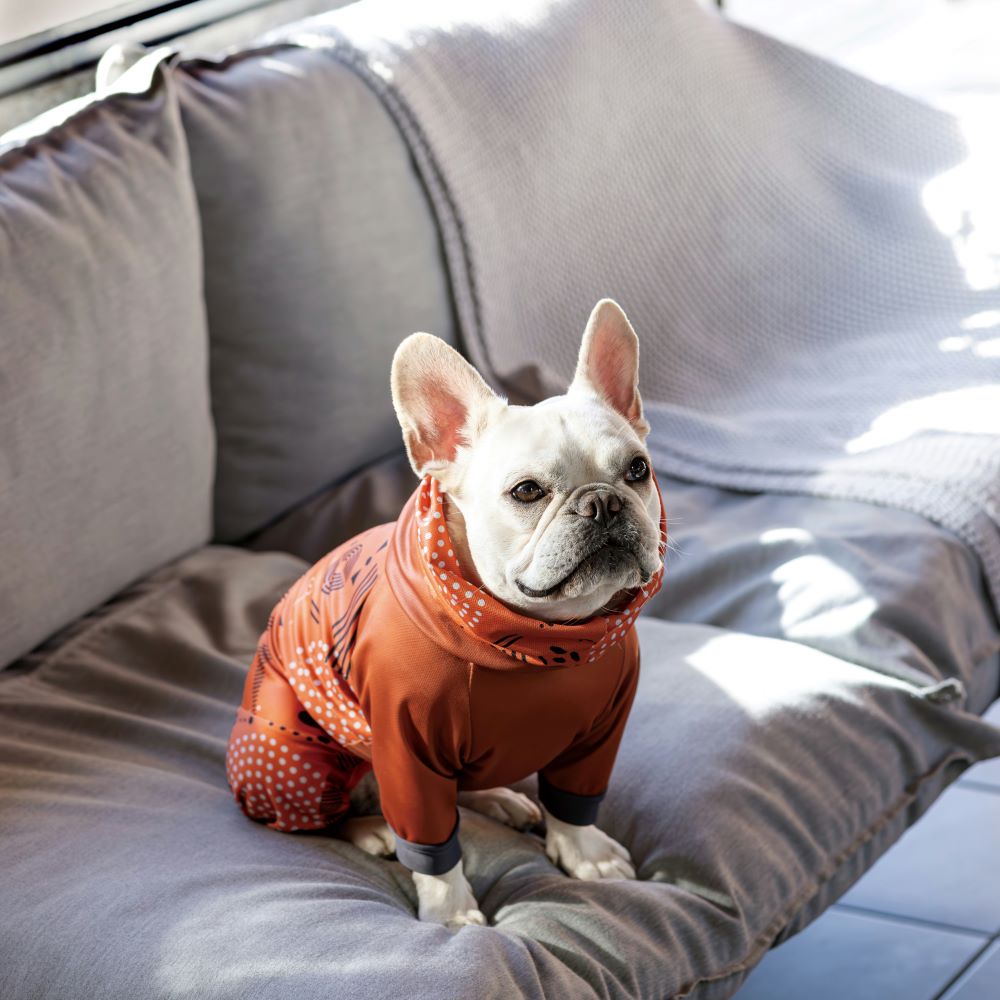 新商品情報】DOG GUARD COOL 2024年モデル3/21発売