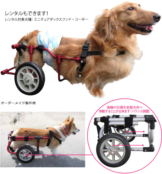 AOJカート車いす・介護用品｜Animal Ortho Japan