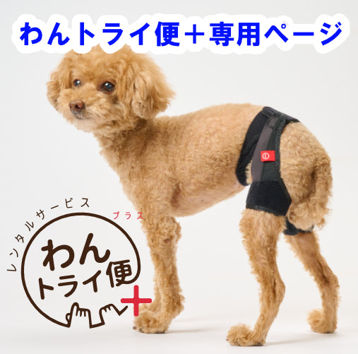 レンタルサービスわんトライ便+】 アニサポ ヒップ 股関節サポーター