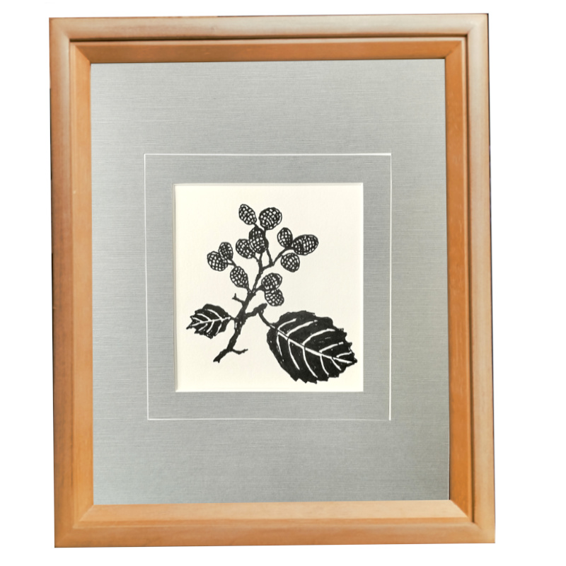 坂本直行 ふきのとう 水彩画 真作 六花亭 銘菓 貴重 北海道 北海道札幌