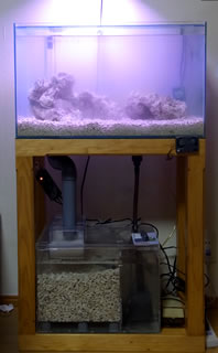 60CMオーバーフロー水槽