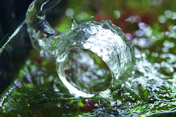 ADA Lily Pipe Spin (outflow) – Aqua Forest Aquarium