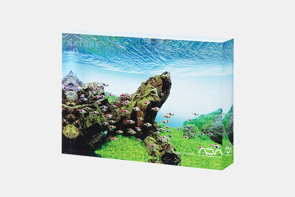 ADA NA ACRYLIC PHOTO BLOCK – Aqua Forest Aquarium