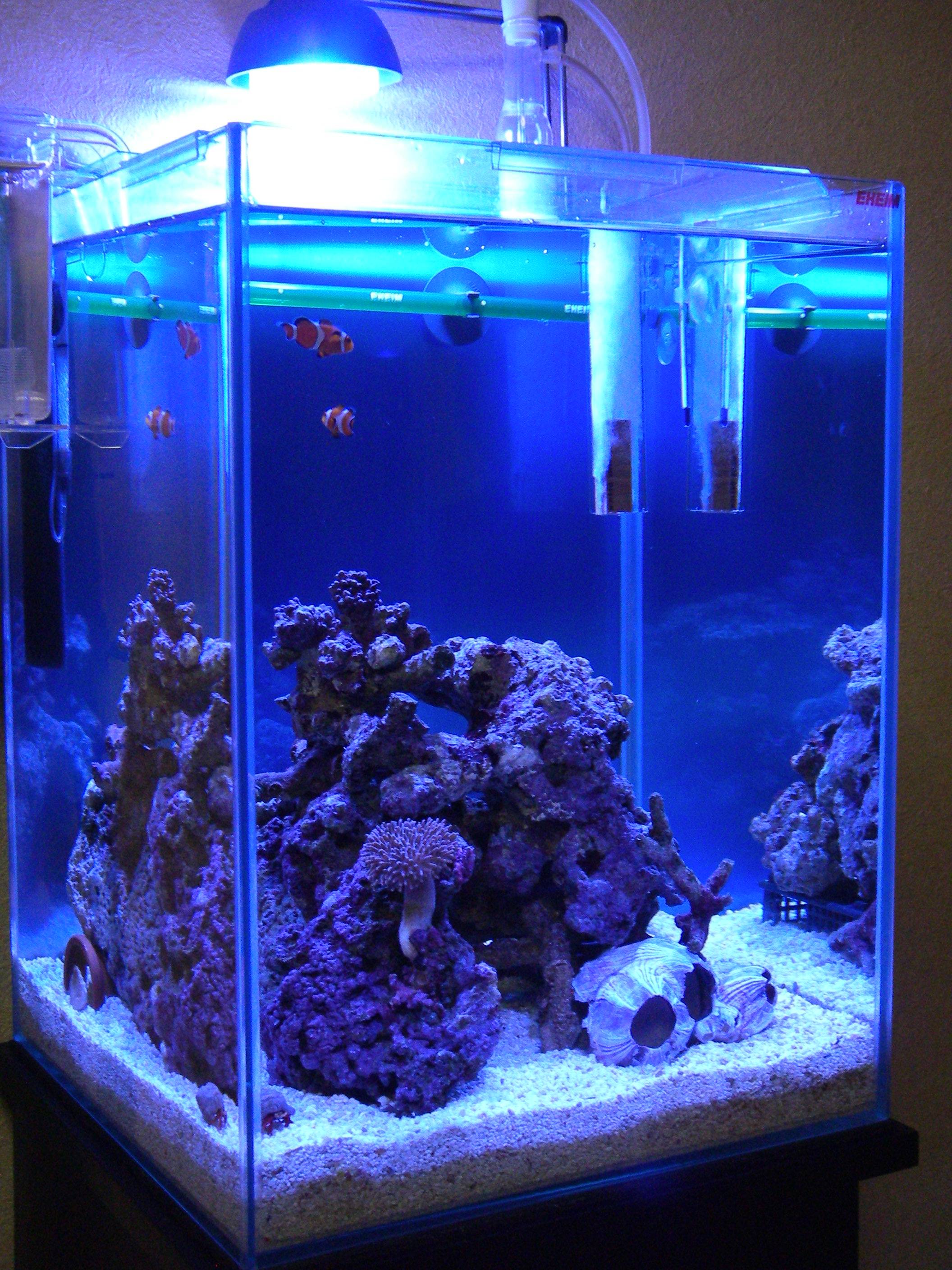 人工ライブロックセット（海水魚、サンゴ、背景、レイアウト、水槽