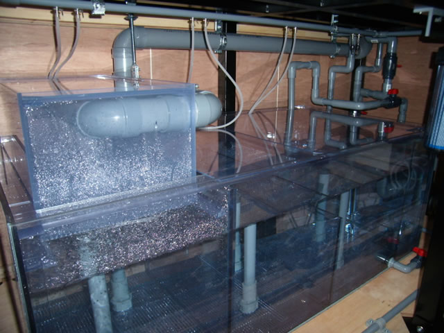 2段式オーバーフロー リフジウムガラス水槽 トールタイプ