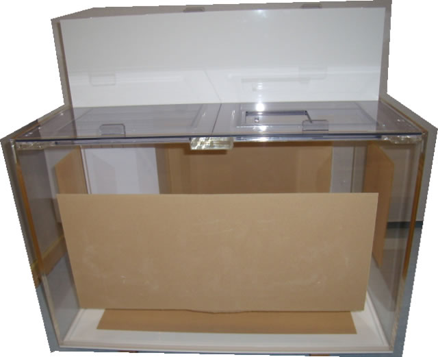 店長日記 アクリル水槽、オーバーフロー水槽の通販・販売｜アクリル