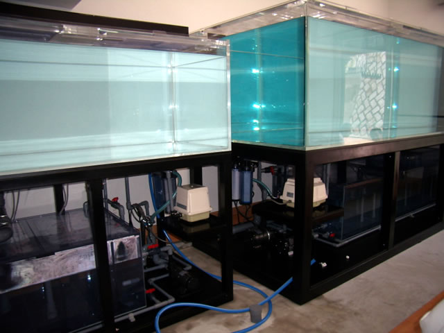 ひわ 大型アクリル水槽 横1800x高さ450x奥行き300mm 水槽のみ アクリル