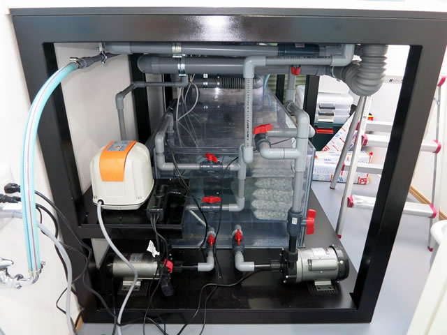 大型オーバーフロー W2000×D1000×H1000 アクリル水槽、オーバーフロー