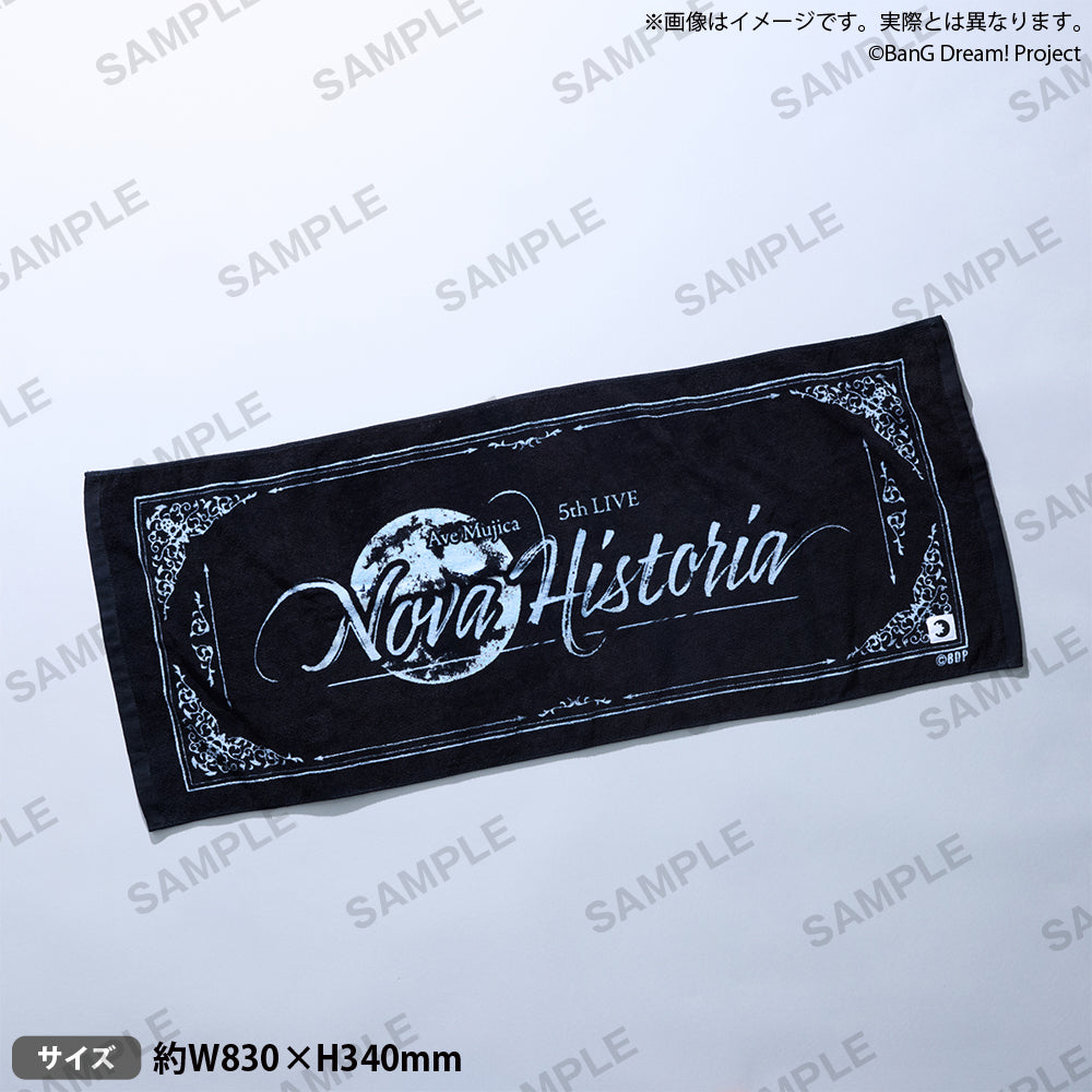 Hilchryme タオル 2009年3月20日 ライブ記念 熱帯夜 限定グッズ