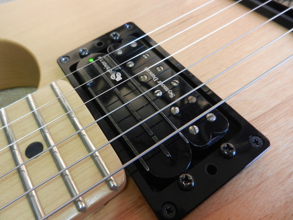 FERNANDES サスティナー基盤ユニット ピックアップセット FERNANDES