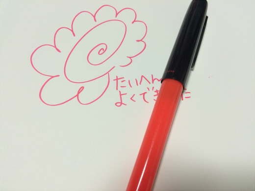 先生ペン(プラチナ ソフトペン)のお話 - 文房具