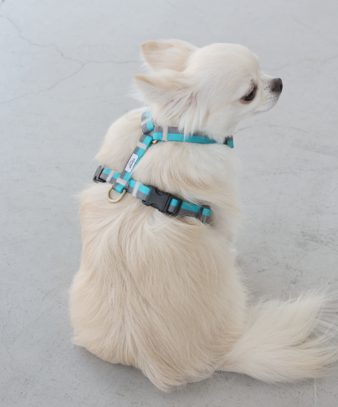 ハーネス Serene – ciiron tokyo