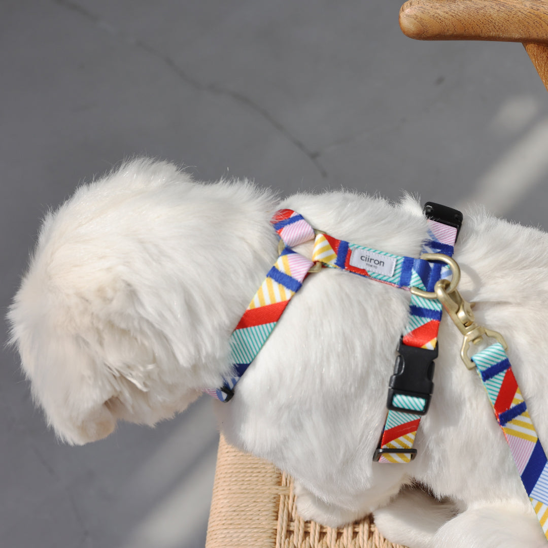 ハーネス Daisy – ciiron tokyo