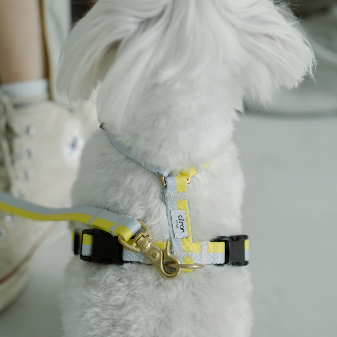 ハーネス Lemon 再入荷！ – ciiron tokyo