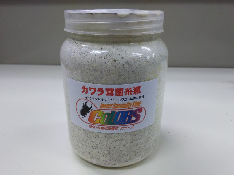 カワラ菌糸瓶 800cc – クワガタムシ・カブトムシ昆虫専門店COLORS