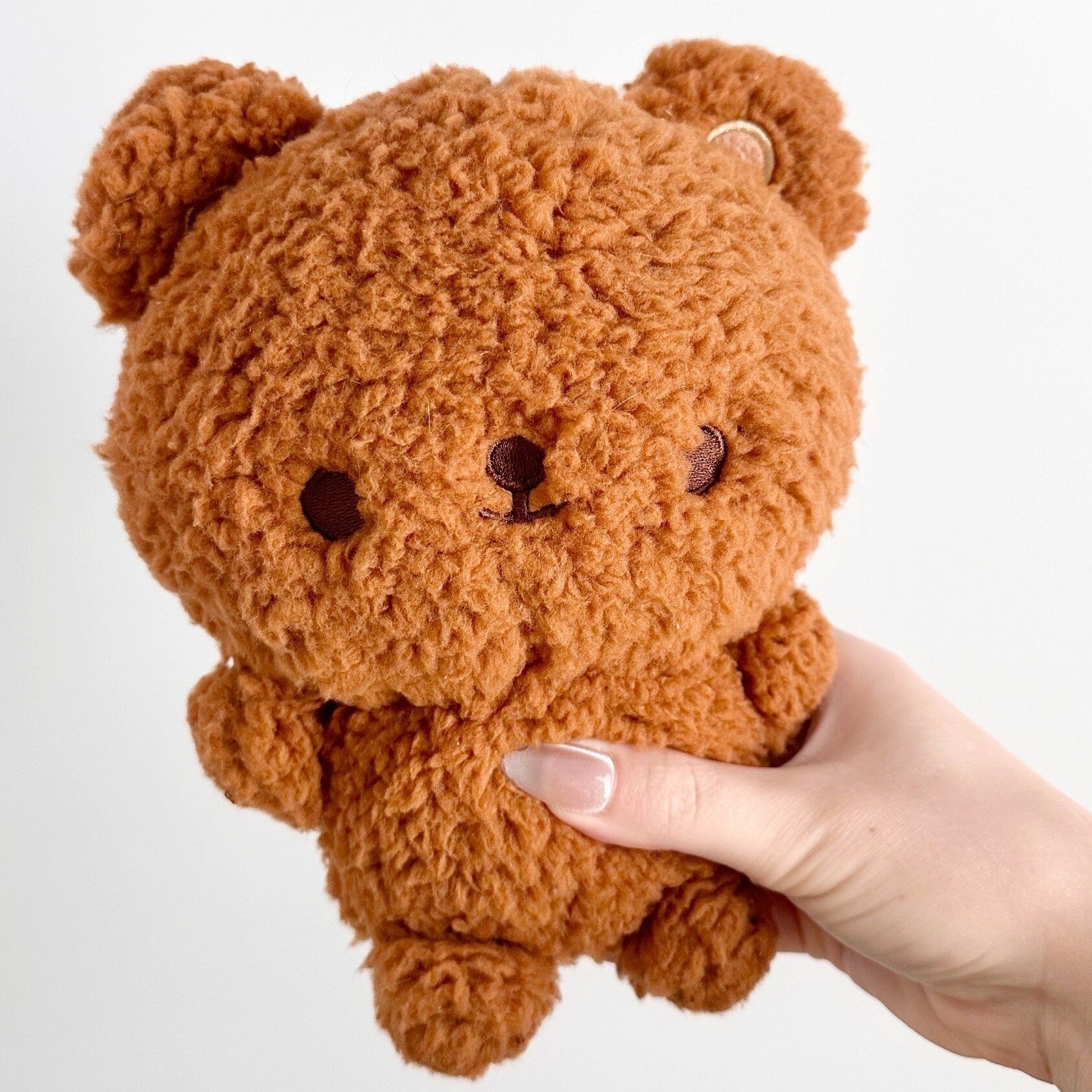 Teddy Plushy – Fujibee