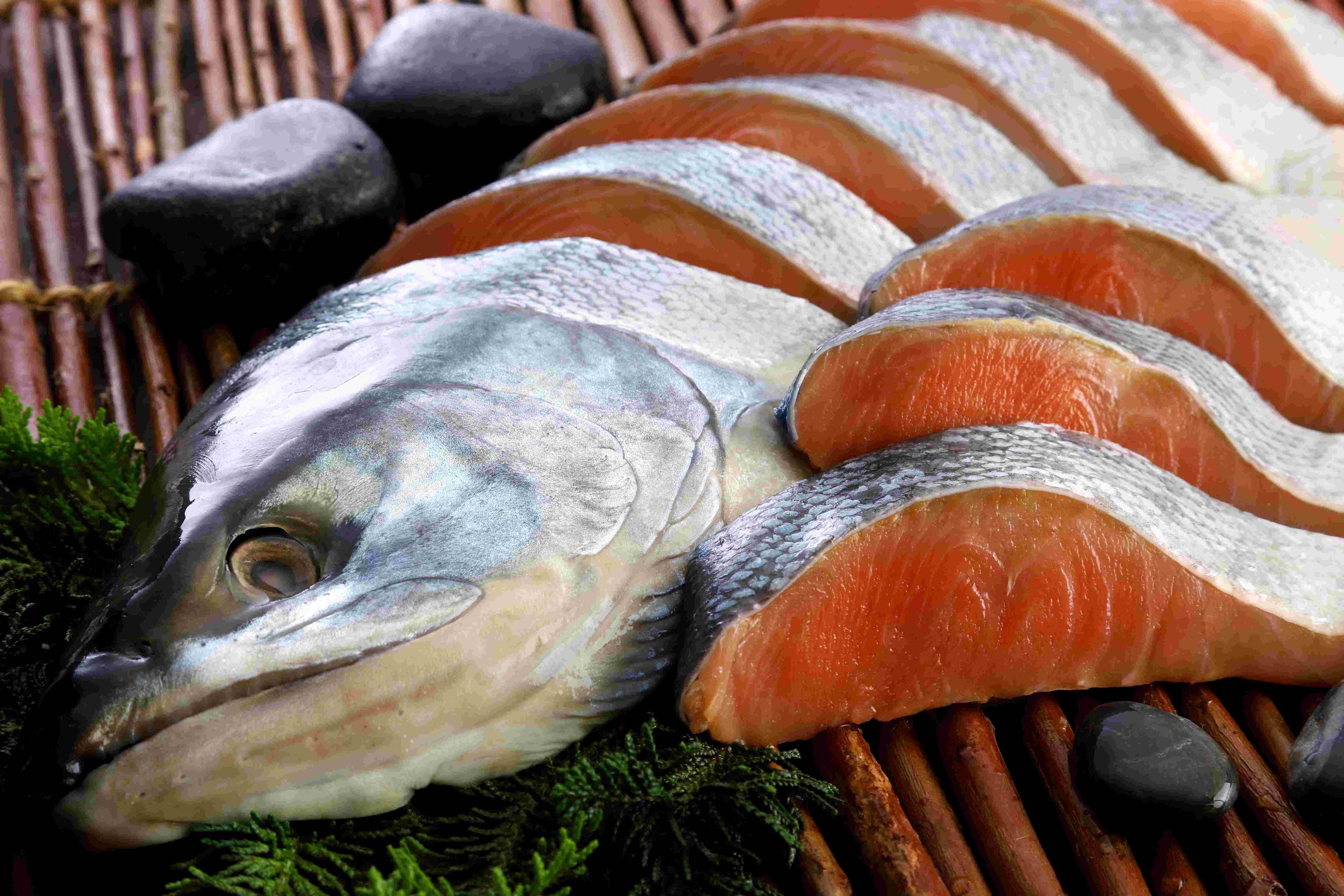 AC-800.jpg?v=1761090650