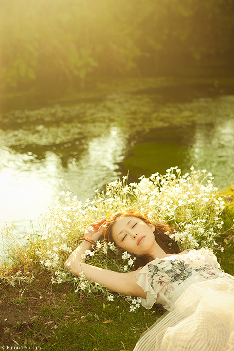 松雪泰子「daydream」 松雪泰子 写真集 daydream 直筆サイン入り 新品