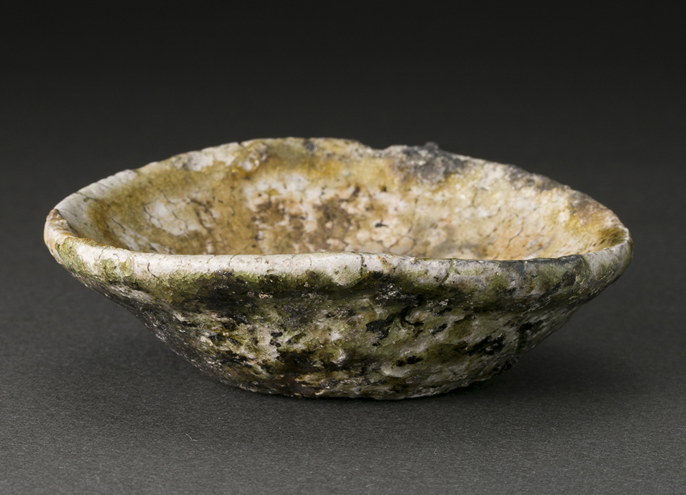 谷本貴 (Takashi Tanimoto) | ふしきのサポート