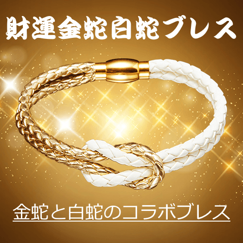 新品 水晶院 お金を呼ぶ白蛇様 写真 額付き 金運 幸運 開運 幸運の白蛇