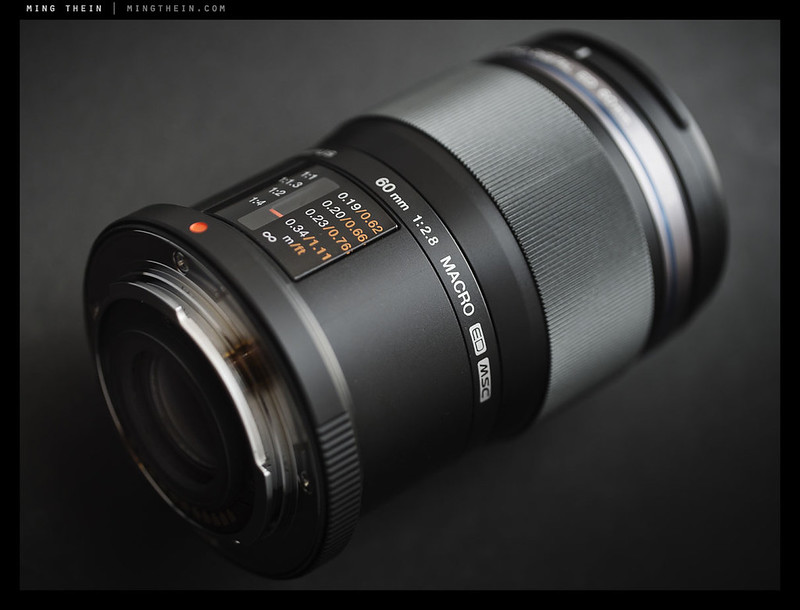 Review: The Olympus ZD 60mm f2.8 Macro and FL-600R wireless flash