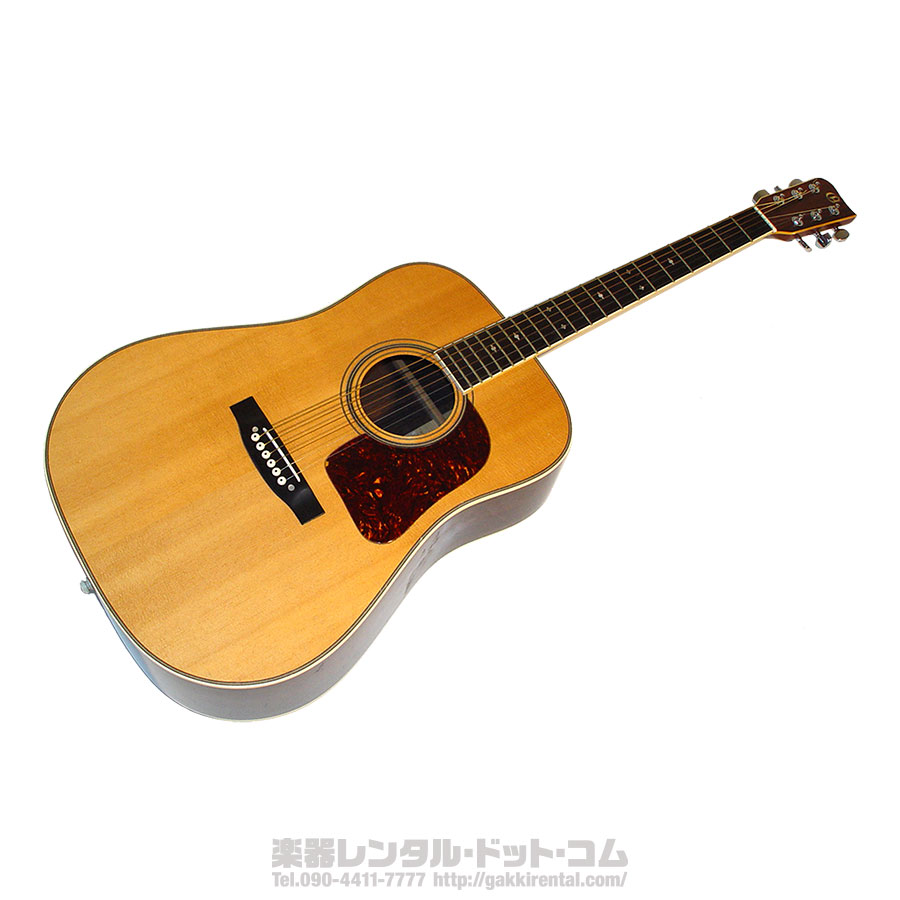 希少モデル】ARIA G300 アコースティックギター 日本製 ハードケース付