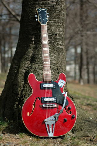 Greco EG-135 グレコ 1960-70年代 赤 レッド ミセス Greco EG135