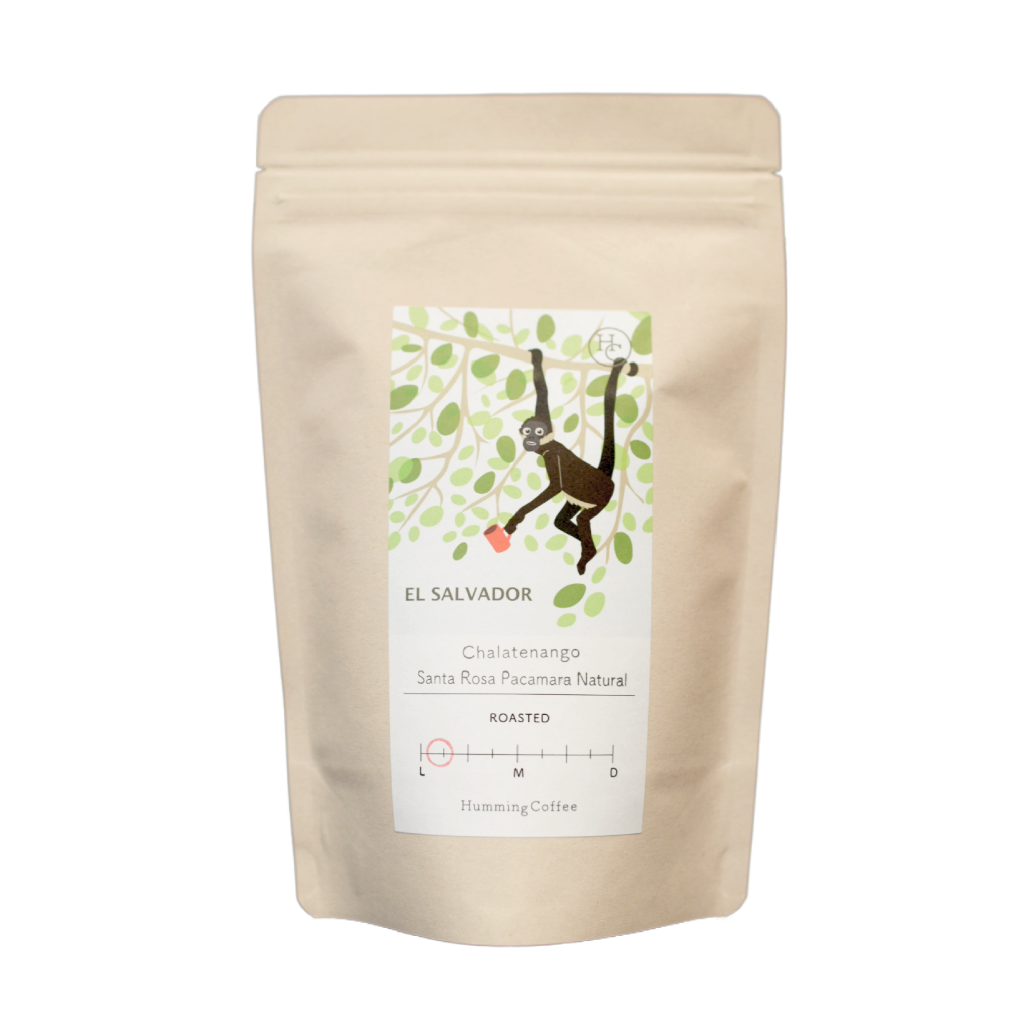 エルサルバドル サンタ・ロサ農園 パカマラナチュラル