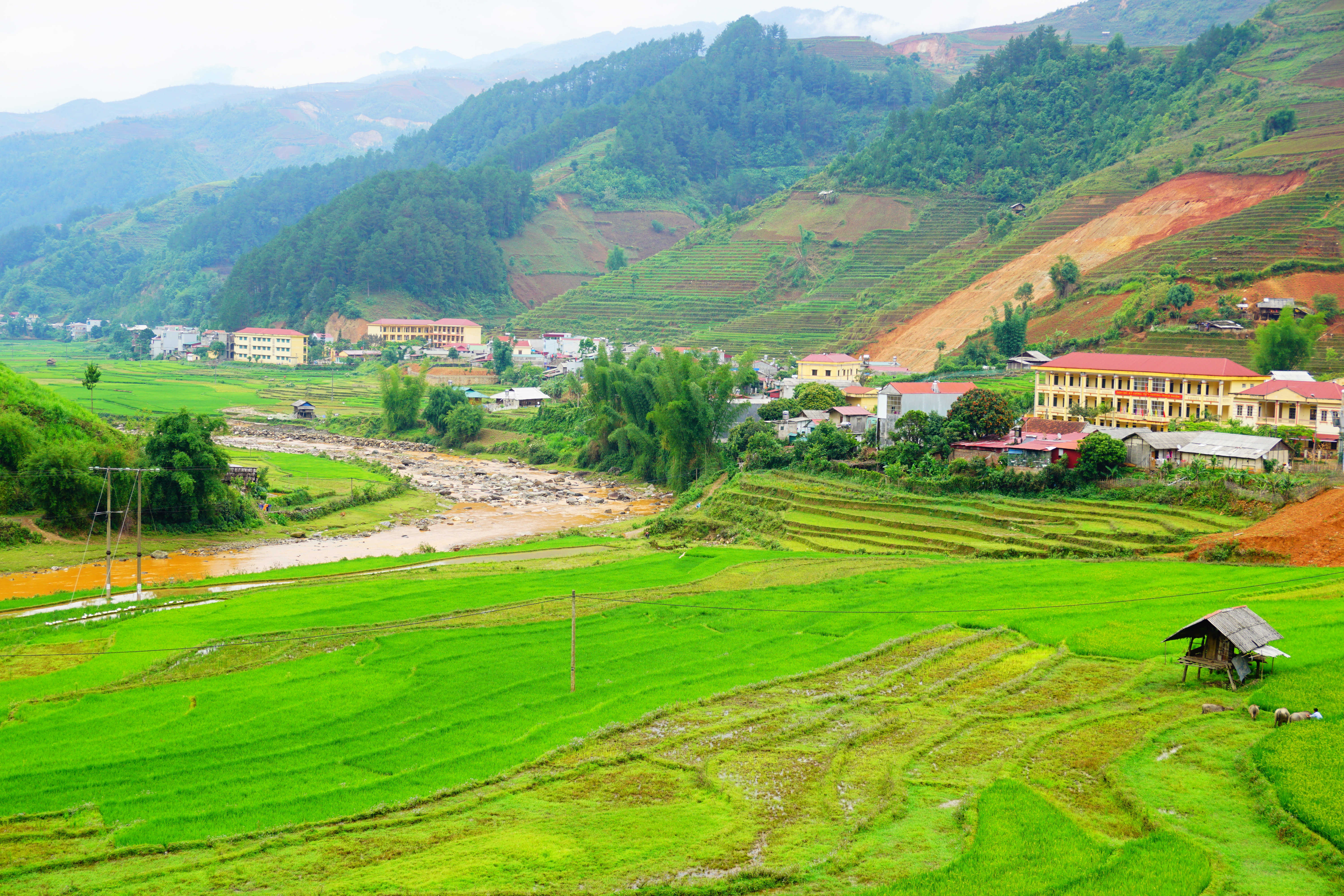 絶景】ベトナムで一番美しい棚田 イエンバイ省ムーカンチャイ。