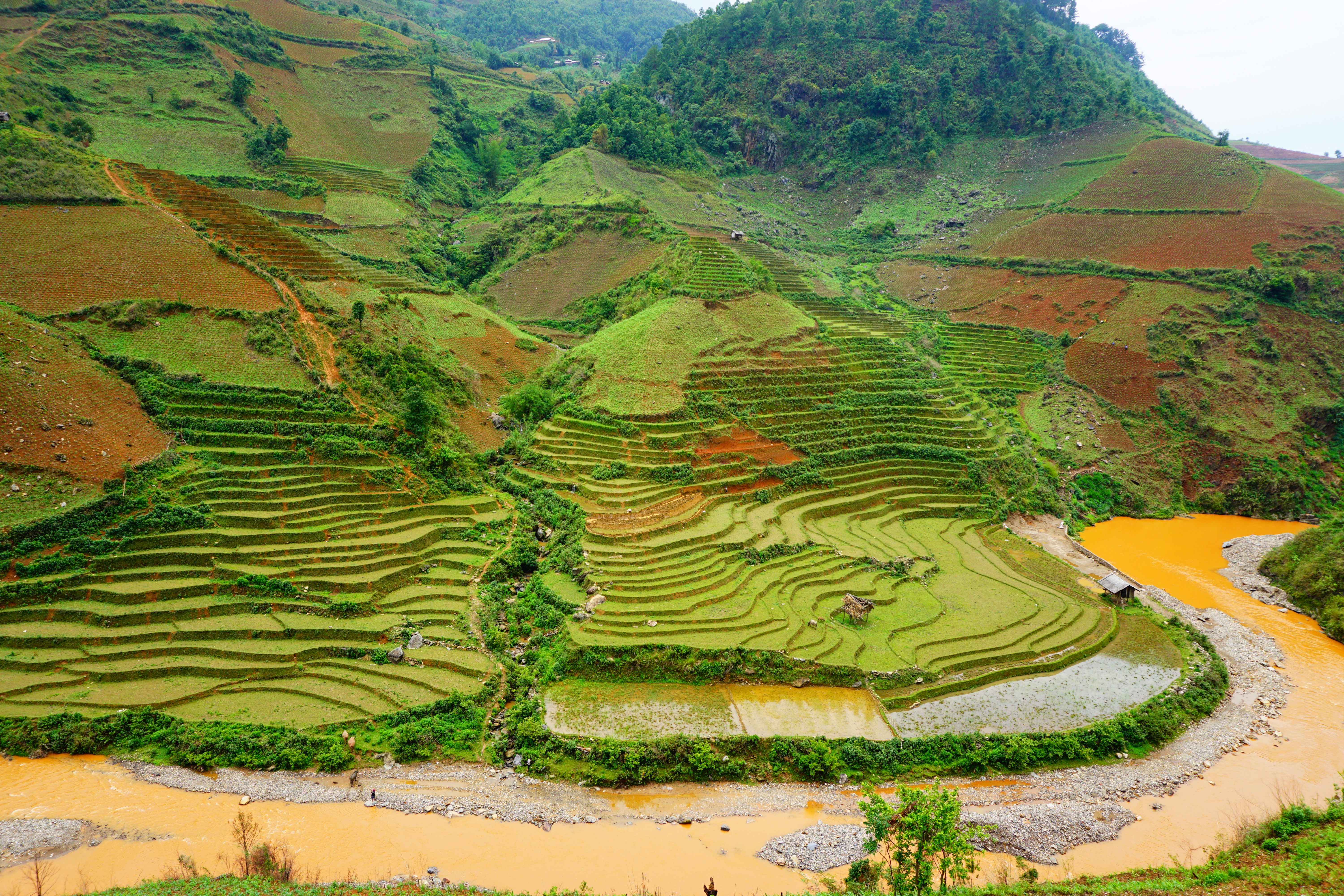 絶景】ベトナムで一番美しい棚田 イエンバイ省ムーカンチャイ。