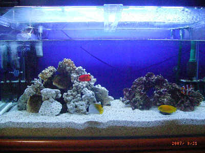 NISSO 1200水槽 KOTOBUKI1200上部フィルターセット 送料無料 ニッソー