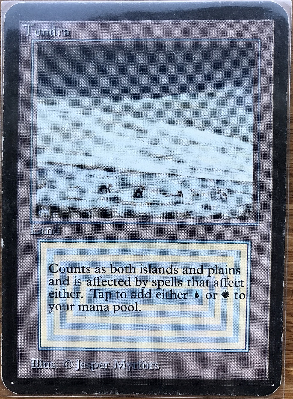 Tundra マジック：ザ・ギャザリング 【公式通販】