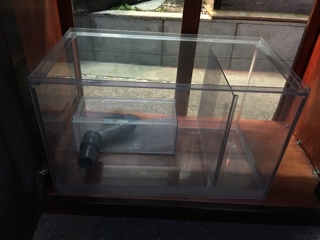 90cmガラスオーバーフロー水槽