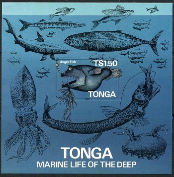 3543 外国切手 ミクロネシア 1995年 魚類 4種完 3543 外国切手