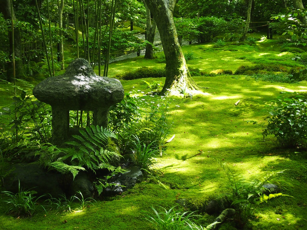 祇王寺 照り輝く苔庭 | 京都旅屋