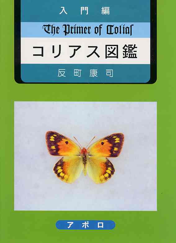 パルナシウス・アッコ・ホロハオアエ（中国甘粛省祁連山、オス）