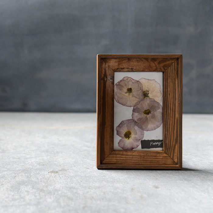 押し花アート 押し花アートフレーム MINI ポピー