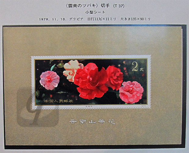 中国切手 T37 雲南のツバキ 中華人民共和国 切手展小型シート 中国切手