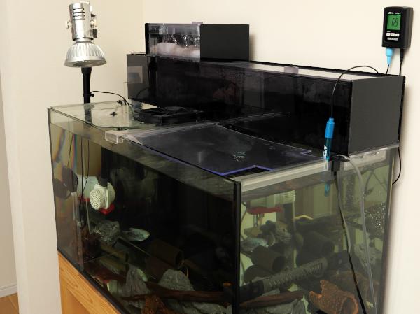 90㎝プレコ水槽にオリジナル上部フィルター導入しました。 - プレコブログ