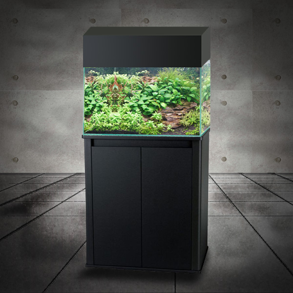 リキジャパンレンタル水槽事業部