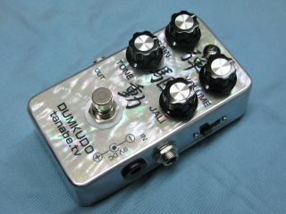 Dumkudo/弾駆動: Ray Guitar Blog