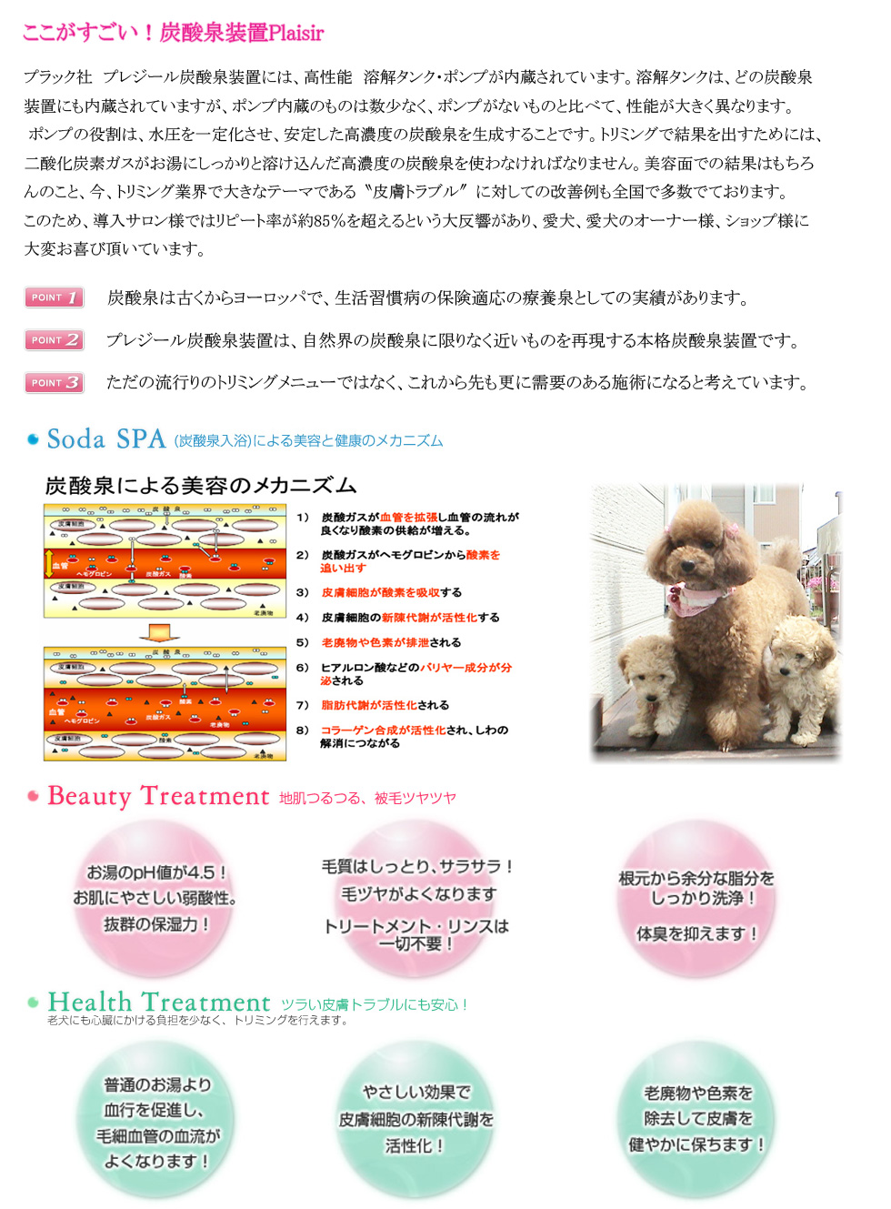 plaisir（プレジール）は、ペット専用の人工炭酸泉装置をご提案します。