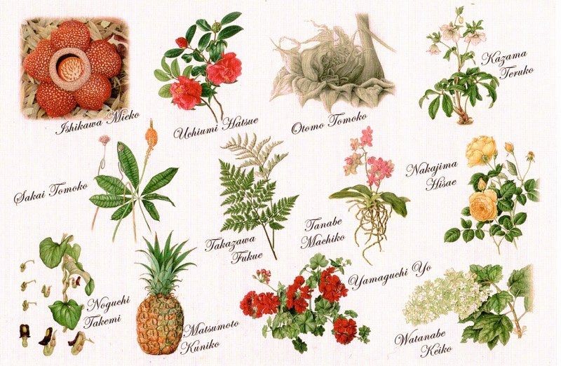 陶板山桜ボタニカルアーティスト ― 石川美枝子